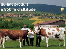 Panneau personnalisé