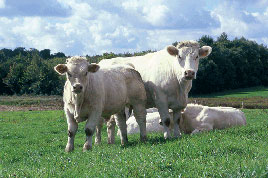 Panneau de ferme standard