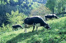 Panneau de ferme standard