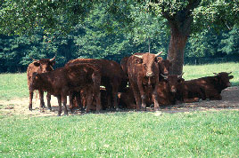 Panneau de ferme standard