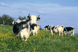 Panneau de ferme standard