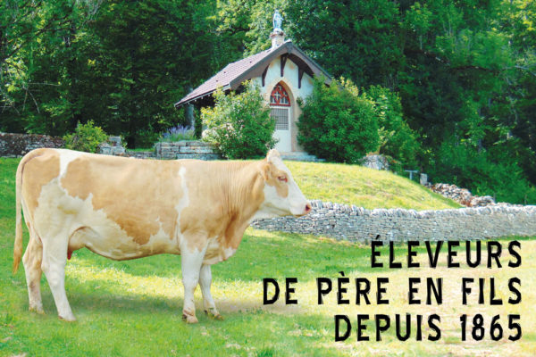 Dernières créations de panneaux de ferme